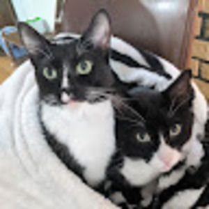 Meet your Posher, Jen